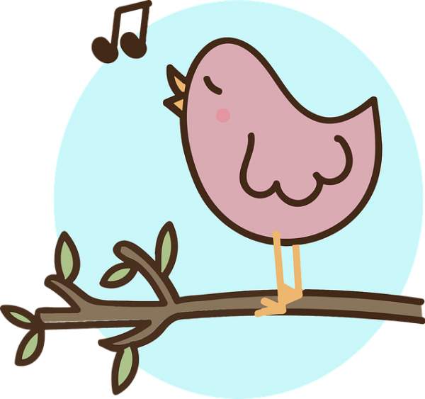 bird-3362405_640